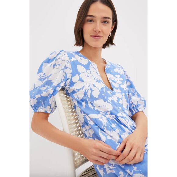 Tuckernuck Hyacinth House Blue and White Floral Cisco Maxi Dress Sz S - Picture 2 of 6